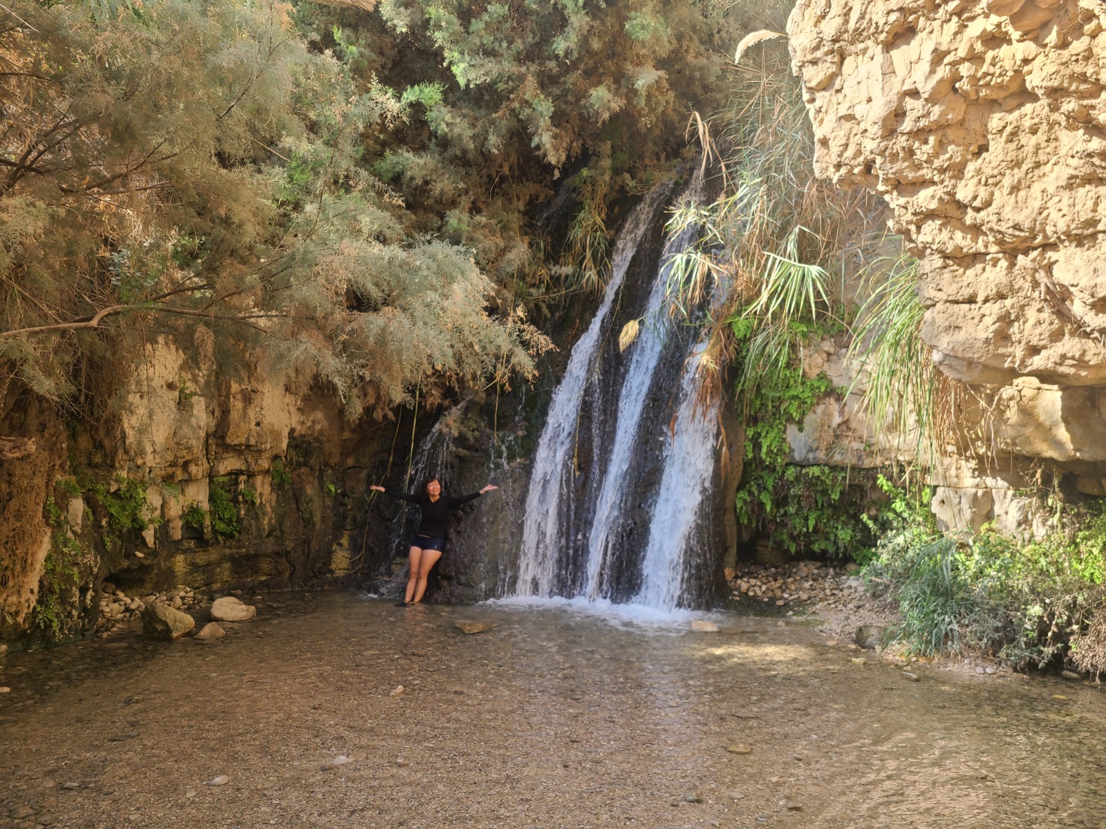 Waterfall and natural pools at the Ein Gedi nature reserve near the Dead Sea