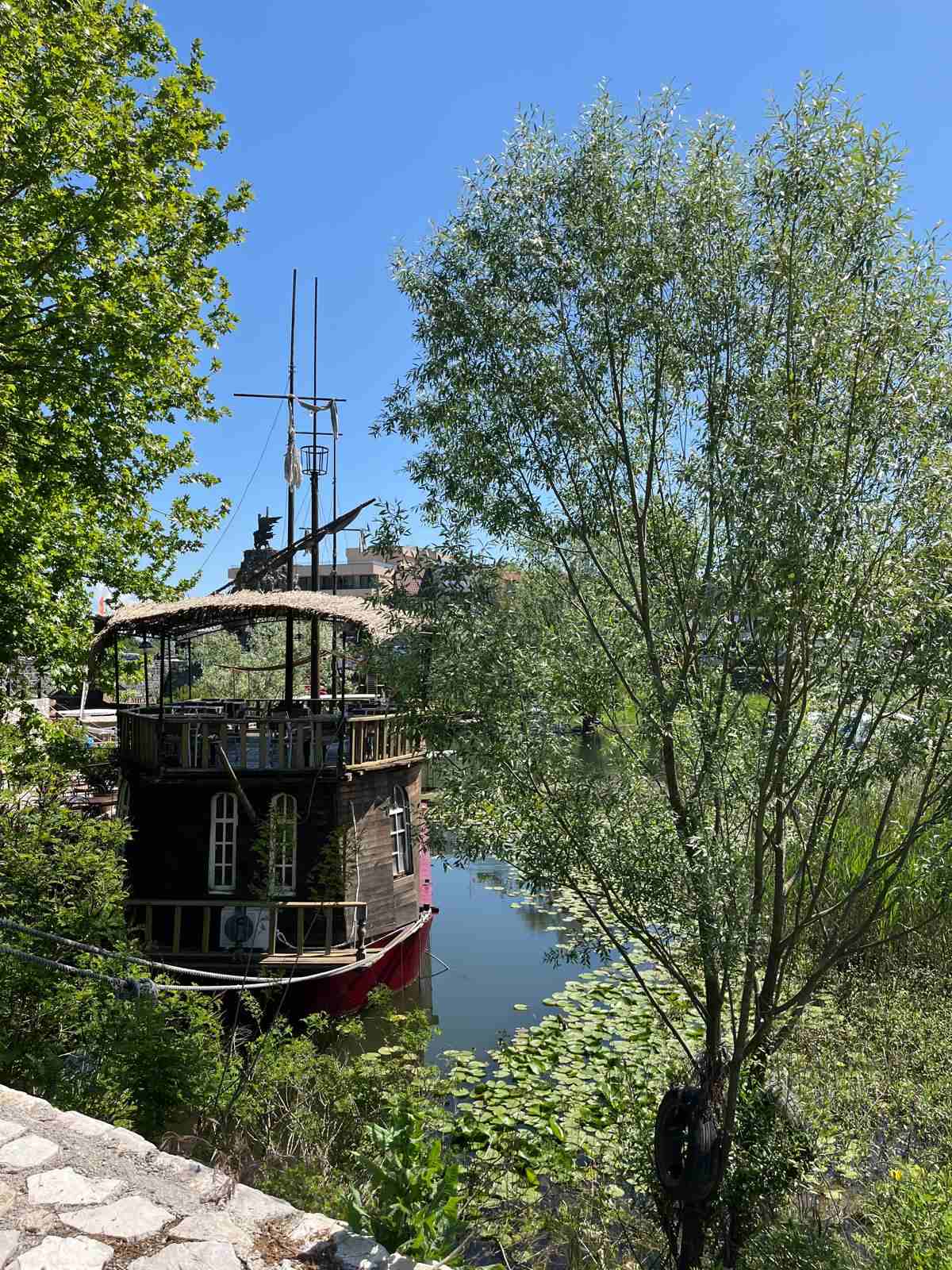 Traditional wooden boat moored on the lily-covered Crnojevic River