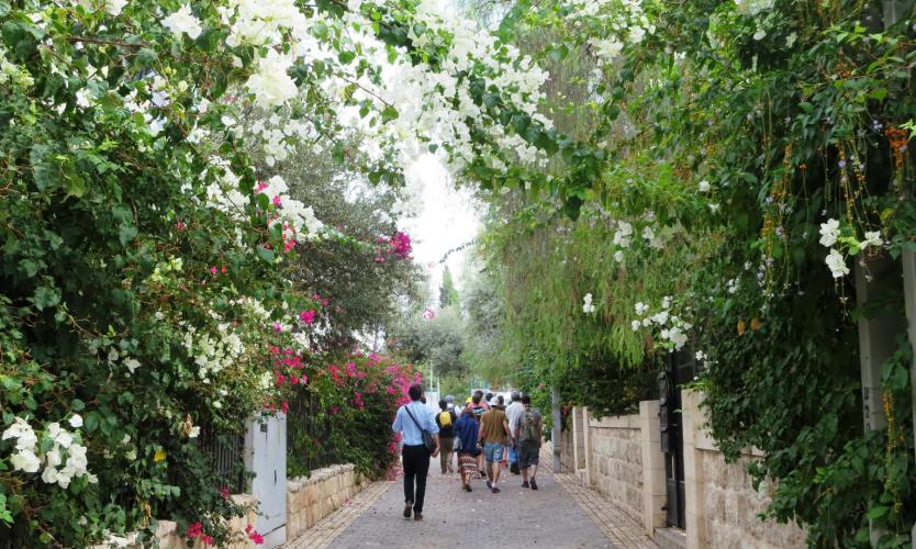 Walking through the German Colony gardens