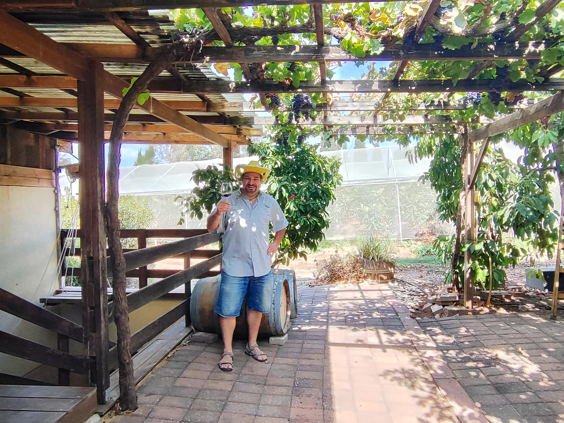 Wine Tour of the North - Grapes & Gardens